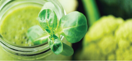 Supplements & nutrition for memory & focus