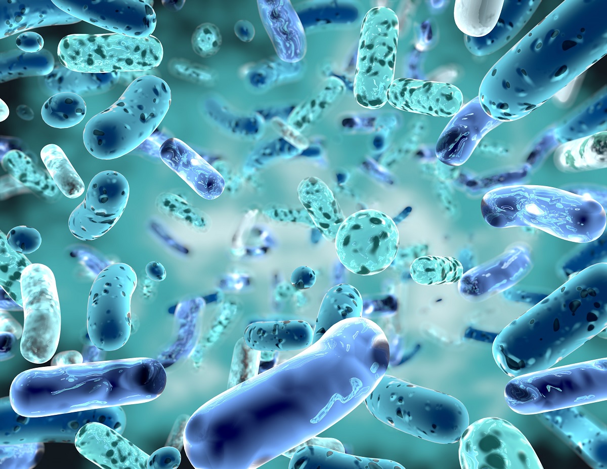 Health benefits of Probiotics Capsules